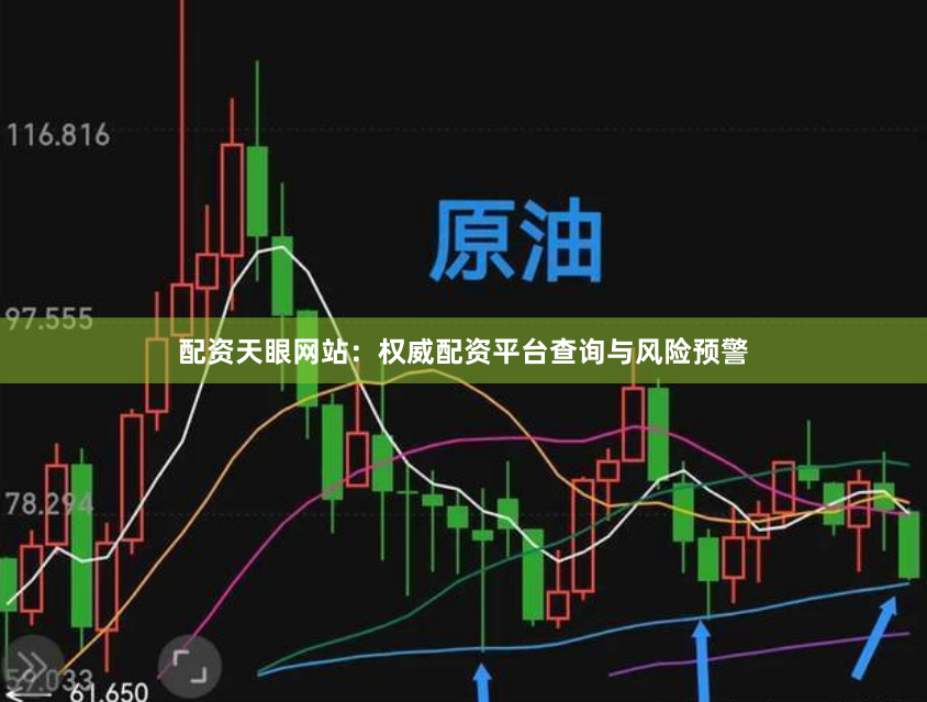 配资天眼网站:权威配资平台查询与风险预警
